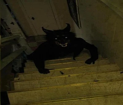 Skinwalker
